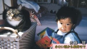 佐藤健　母子家庭　父母　離婚理由　猫
